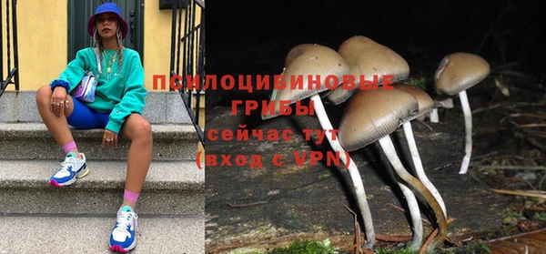 2c-b Лихославль